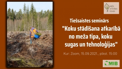 koku stadisana