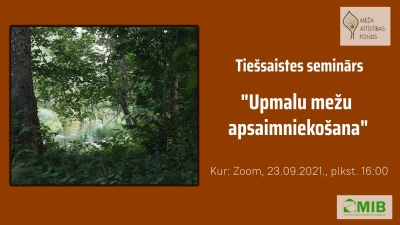 upmalu mezi