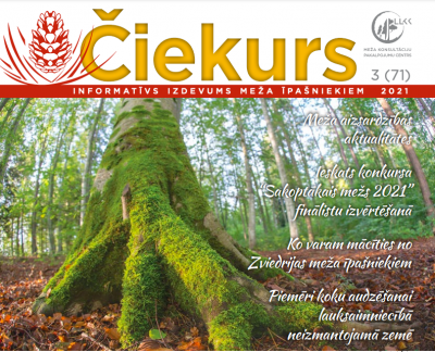 Rudens Čiekurs