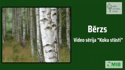 berzs