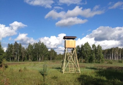Medības