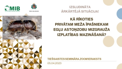 Seminars_Mizgrauzis