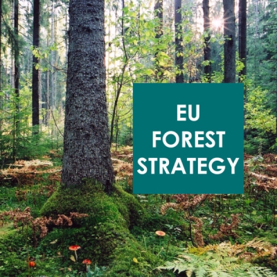 ES_strategija