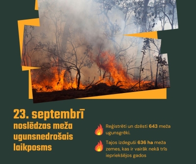 Meža_ugunsgrēki
