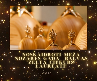 Zelta čiekurs