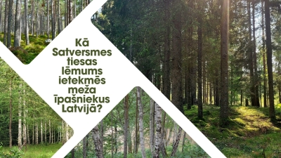 Satversmes tiesa