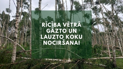 Vētra