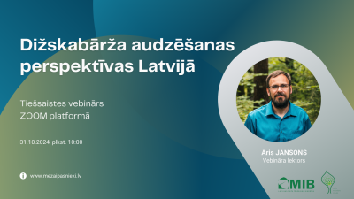 Dižskabārdis