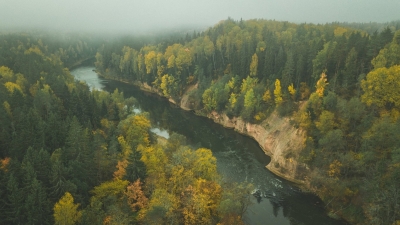 gauja