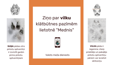 vilki