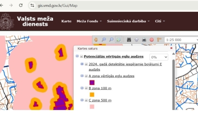 vmd