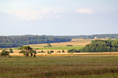 lauks