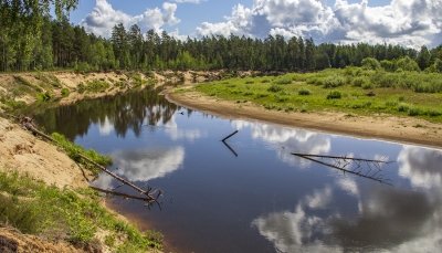 ziemeļgauja