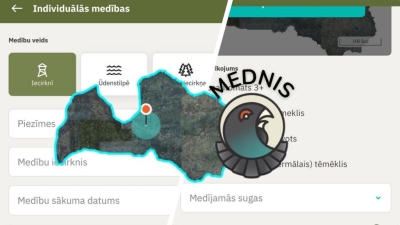 mednis