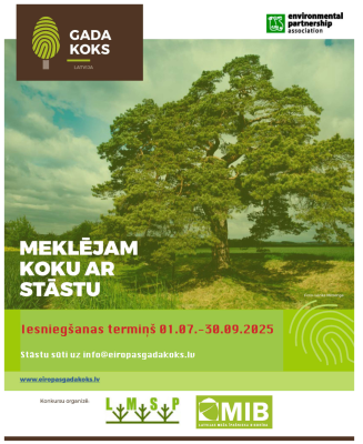 koks