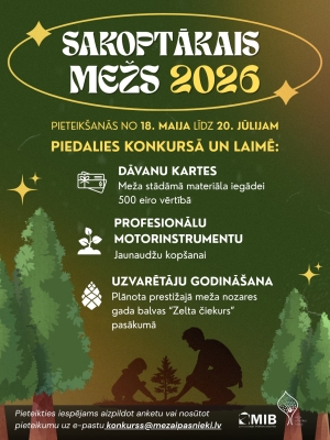 mežs