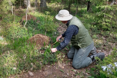 ,