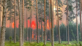 Ugunsgrēks Garkalnē