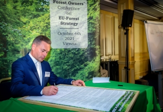 Arnis Vīnes deklerācija