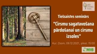 cirsmu izsole