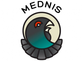 Mednis
