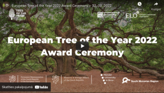 Gada koks tiešraide