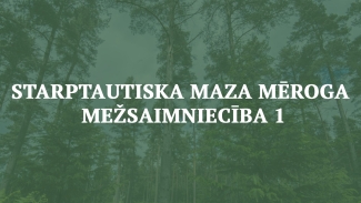 starptautiska meza meroga mezsaimnieciba 1