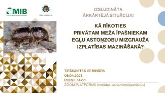 Seminars_Mizgrauzis