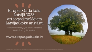 Eiropas_gada_koks