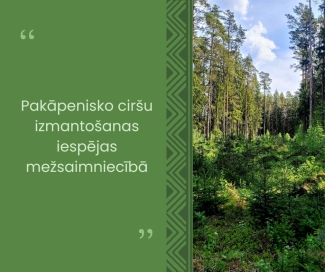 Pakāpeniskās_cirtes