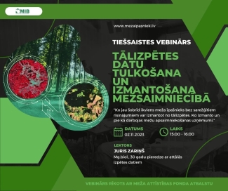Tiešsaistes_vebinārs