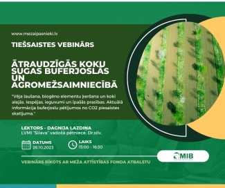 Tiešsaistes_vebinārs