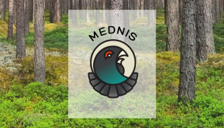 Mednis