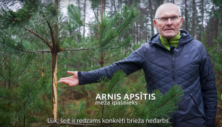 apsītis