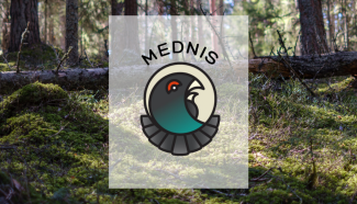 mednis