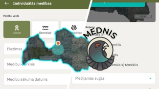 mednis