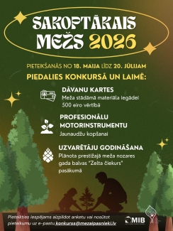 mežs